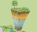 illustration showing earth layers and vegetation sectioned out of a landscape